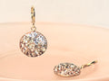 Champagne Gradient Crystal Drop Earrings